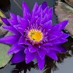 Womens & Mens Apparel Fine Jewelery Accessories